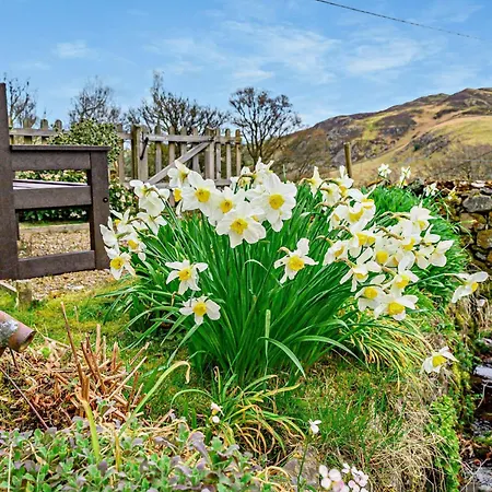 1 Bed In Matterdale 91812 *