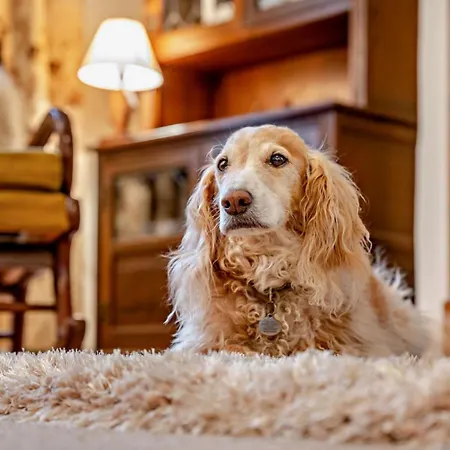 1 Bed In Matterdale 91812 * Dockray