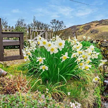 1 Bed In Matterdale 91812 別荘 ドックレー