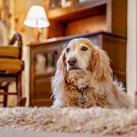 1 Bed In Matterdale 91812 *